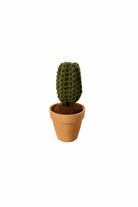 Cactus - Crocheted Home Decor | Arlene F.