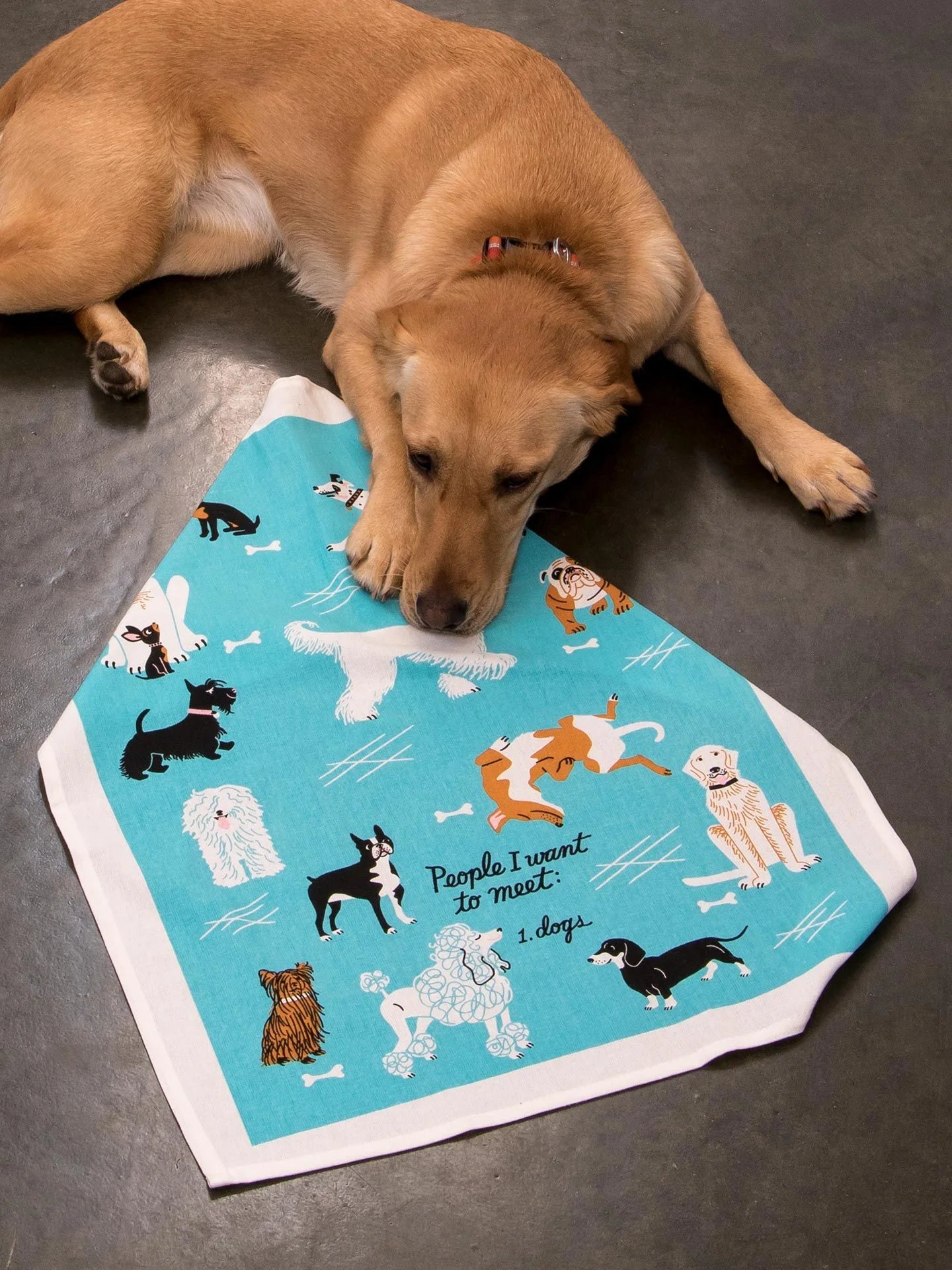 People I Want To Meet: Dogs | Dish Towel