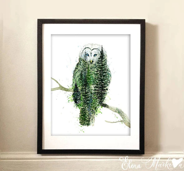 "Athena" Barred Owl Watercolor Art Print | Elena Markelova