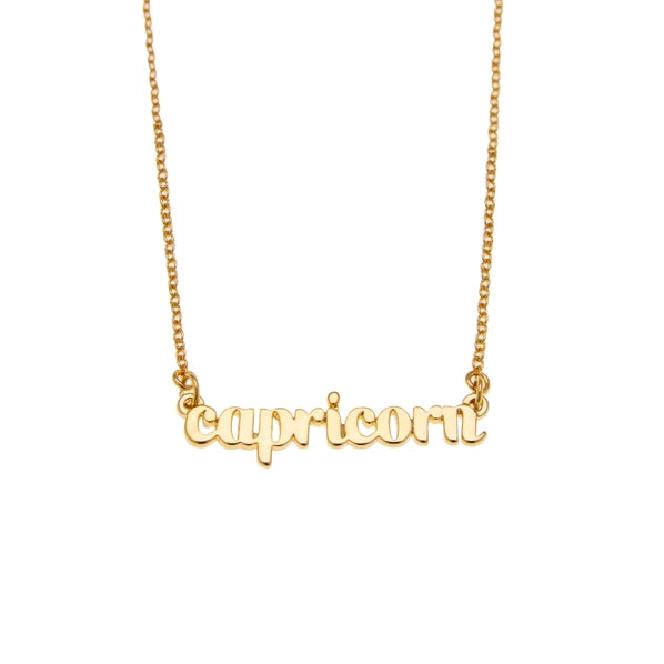 Capricorn | Horoscope Necklace