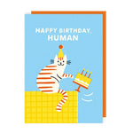 Happy Birthday Human (Cat) - Birthday Card | Sunshine Llama