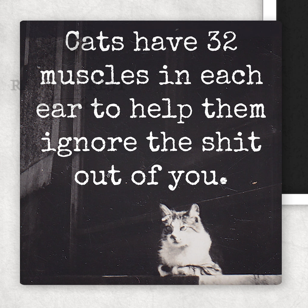 Cats Have 32 Muscles in Each Ear - Fridge Magnet | Raven's Rest Studio