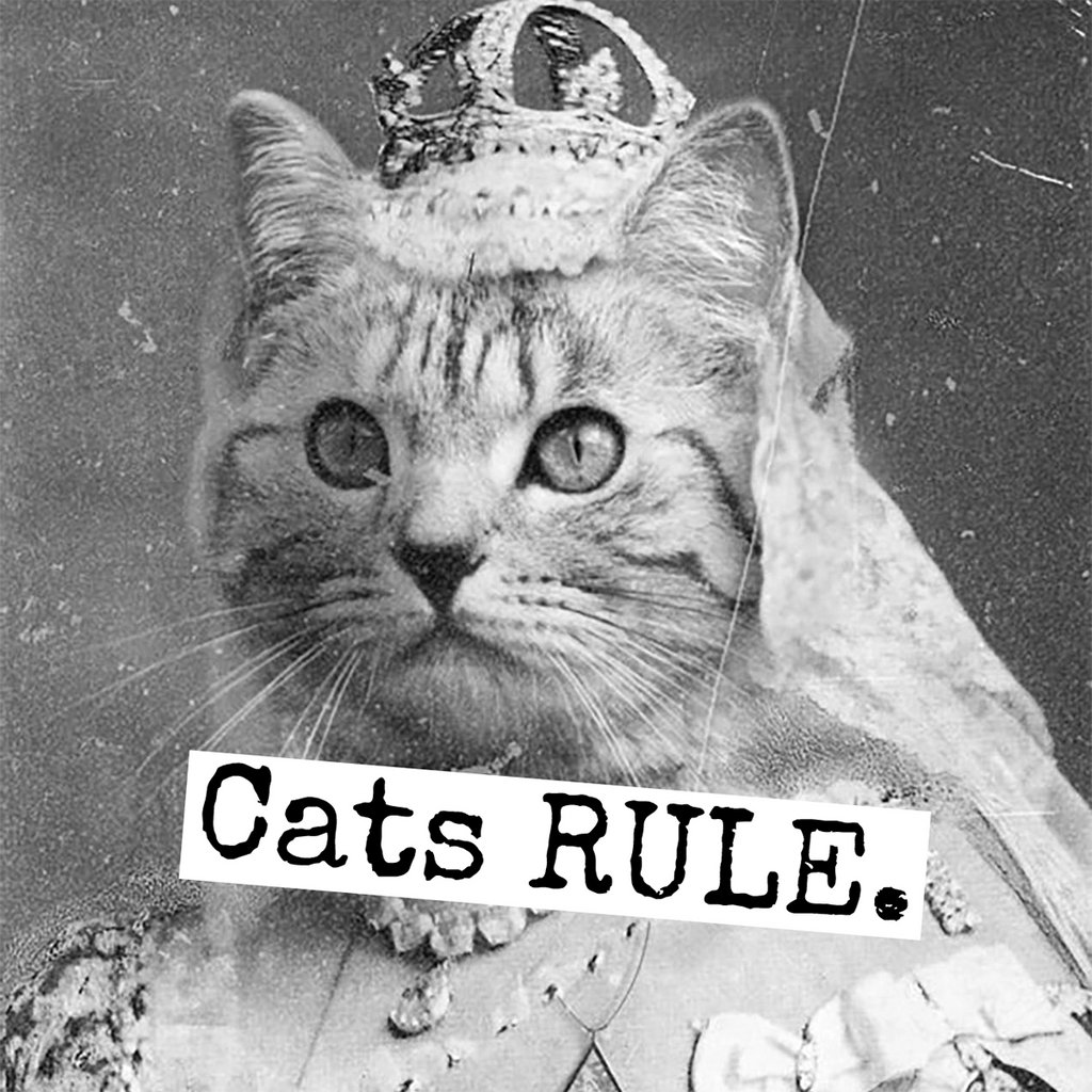 Cats Rule - Fridge Magnet | Raven's Rest Studio