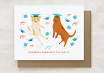 Congrats Graduate! You Did It! | Greeting Card