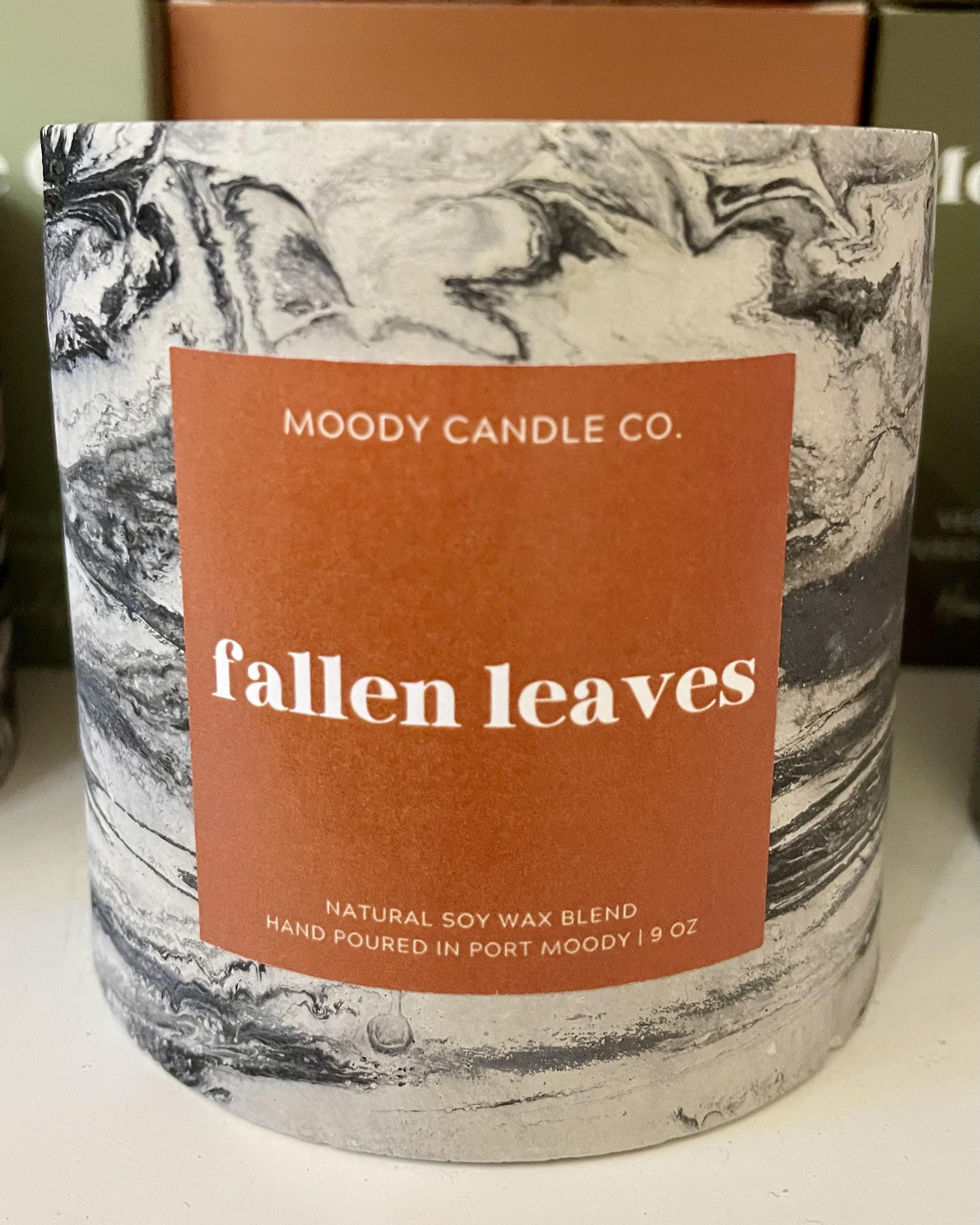 Fallen Leaves - Cement Jar Candle | Moody Candle Co