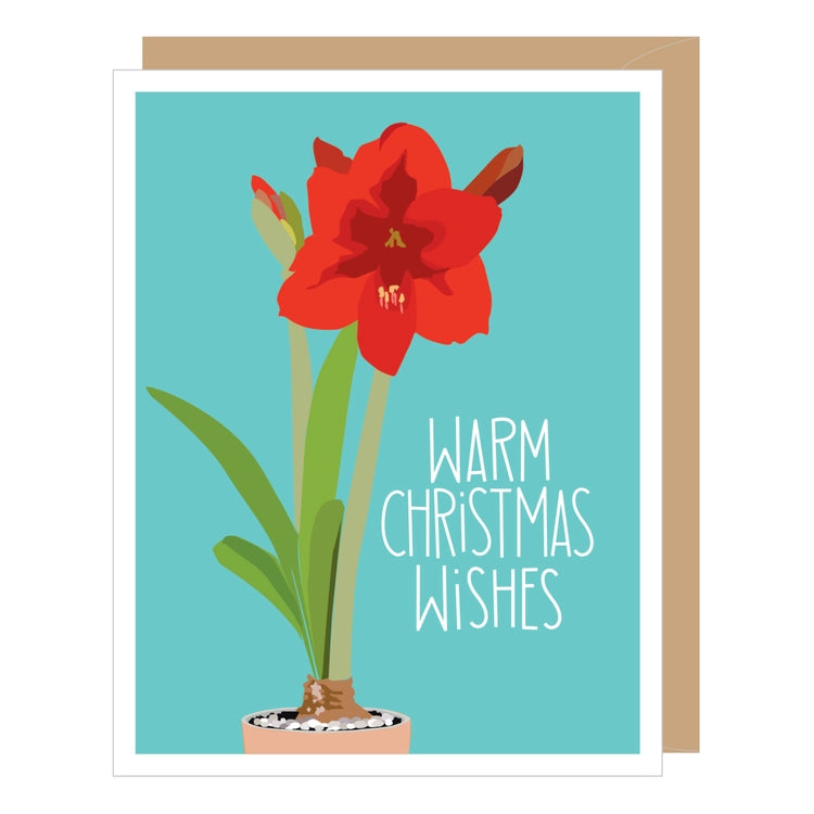 Holiday Amaryllis | Holiday Greeting Card