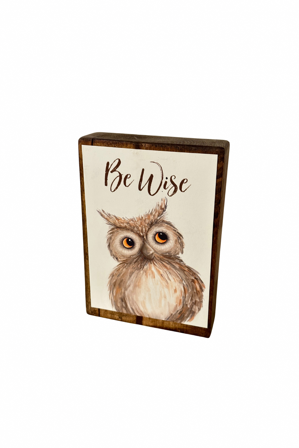 Be Wise Owl - Shelf Sitter | CC Crafts