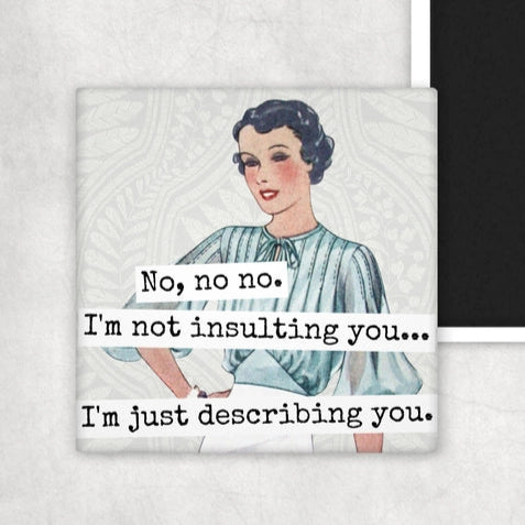 No, No, No. I'm Not Insulting You... I'm Just Describing You | Fridge Magnet