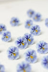 Pansy Handmade Stud Earrings| EtenIren