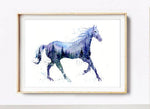 "Night Stallion" Horse Watercolor Art Print | Elena Markelova