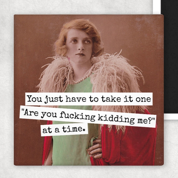 You Just Have To Take It One "Are You Fucking Kidding Me??" At A Time | Fridge Magnet