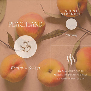 Peachland - Hand Wash | AuraTae
