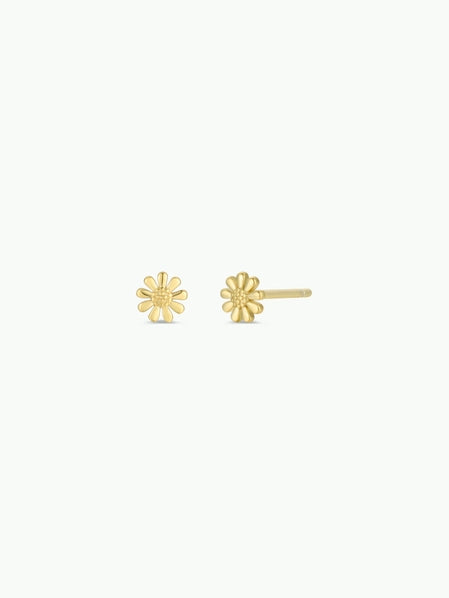 Petite Daisy | Gold Earrings