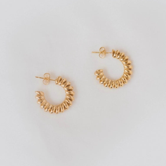Pisa Hoop Earrings | Petite Gold