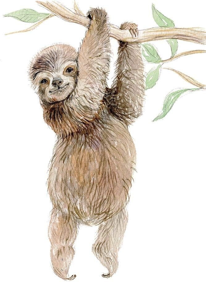 Baby Sloth - Watercolur Greeting Card | Elena Markelova