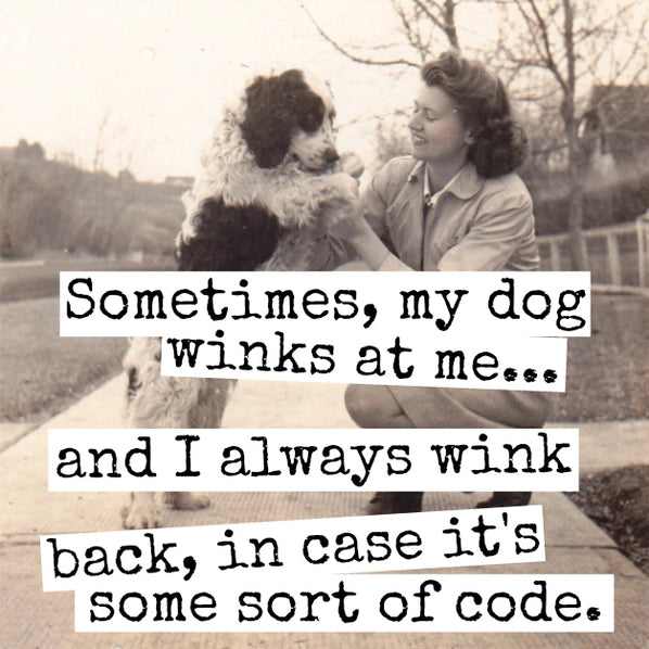 Sometimes, My Dog Winks At Me... | Fridge Magnet