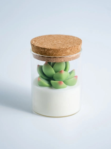 Succulent Candle | Zoet Studio