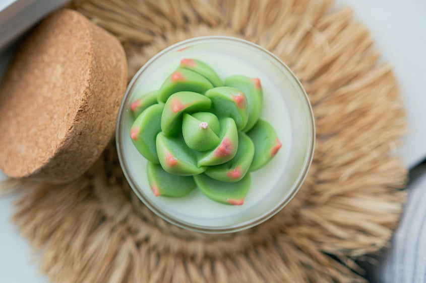 Succulent Candle | Zoet Studio