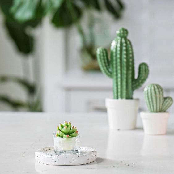 Succulent Tealight Candle | Zoet Studio