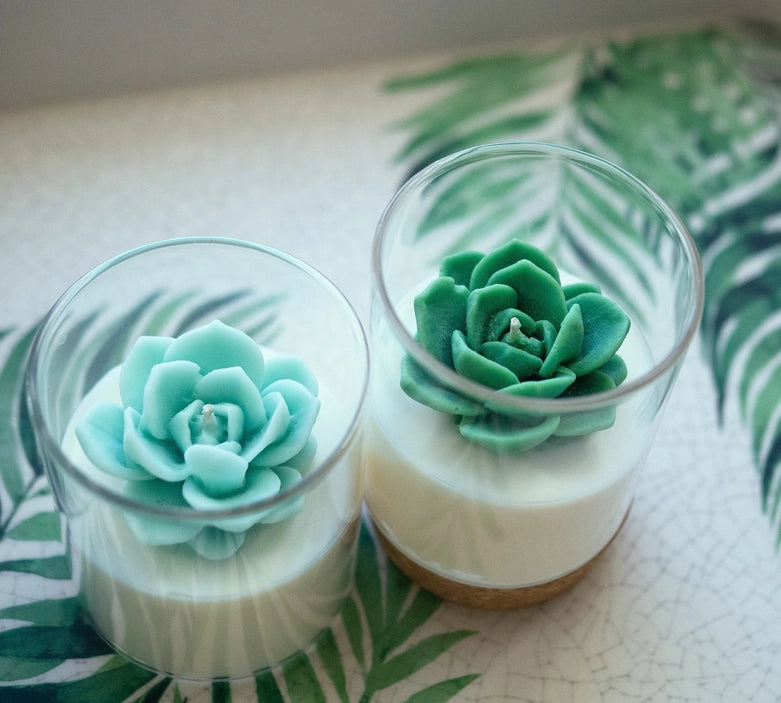 Succulent | Soy Wax Blend Candle