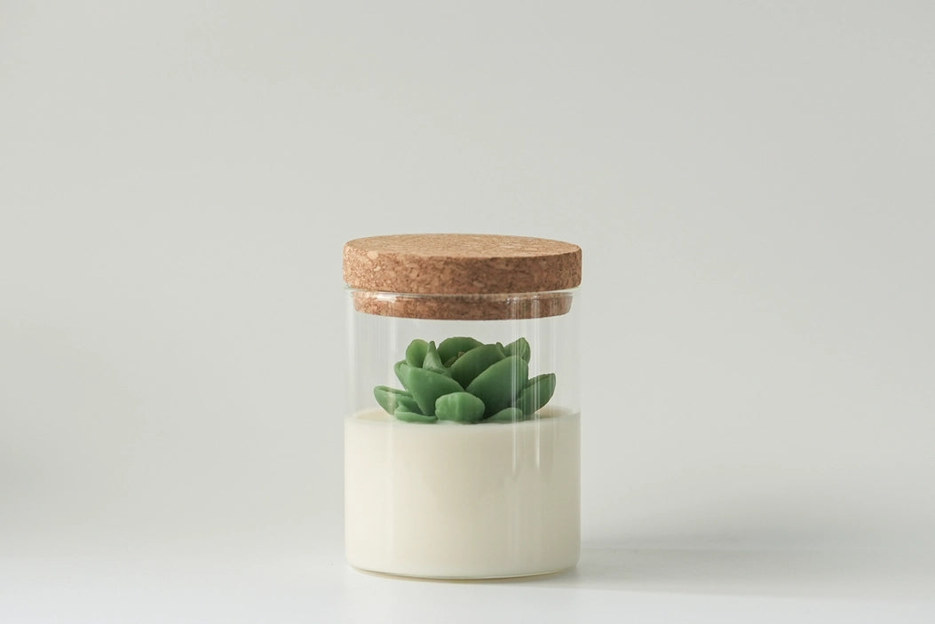Succulent | Soy Wax Blend Candle