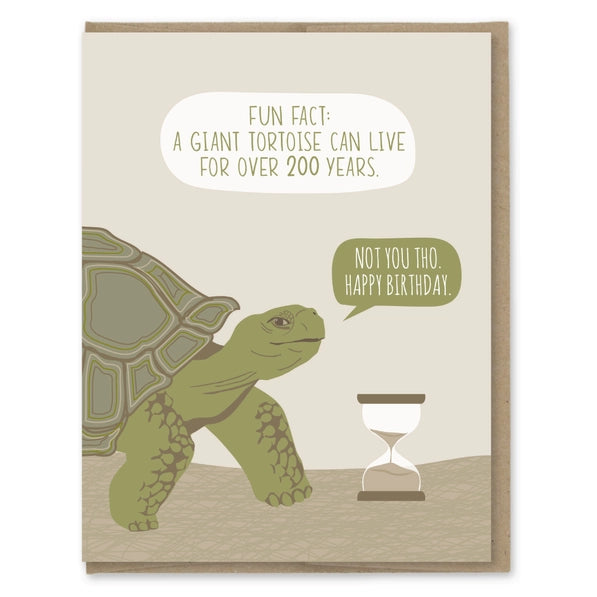 Tortoise Fun Fact - Greeting Card | Modern Printed Matter