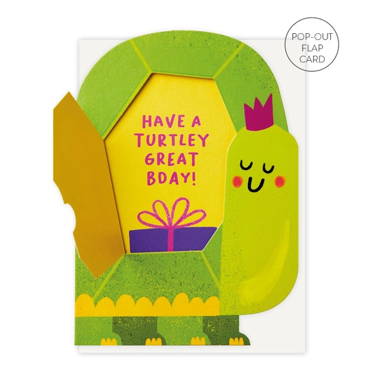 Turtley Great - Pop Out Birthday Card |  Stormy Knight
