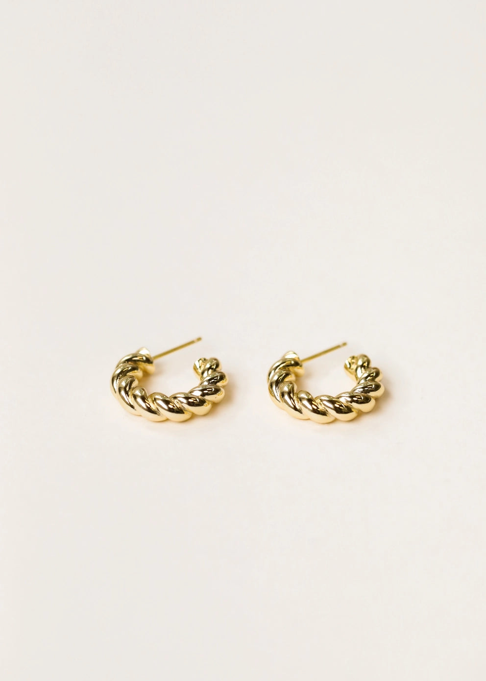 Twisted Hoop | Earrings