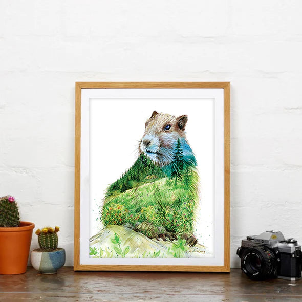 "Alan" Vancouver Island Marmot Watercolor Art Print | Elena Markelova