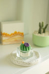 Barrel Cactus | Soy Wax Blend Tealight Candle