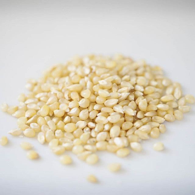 Baby White | Popcorn Kernels