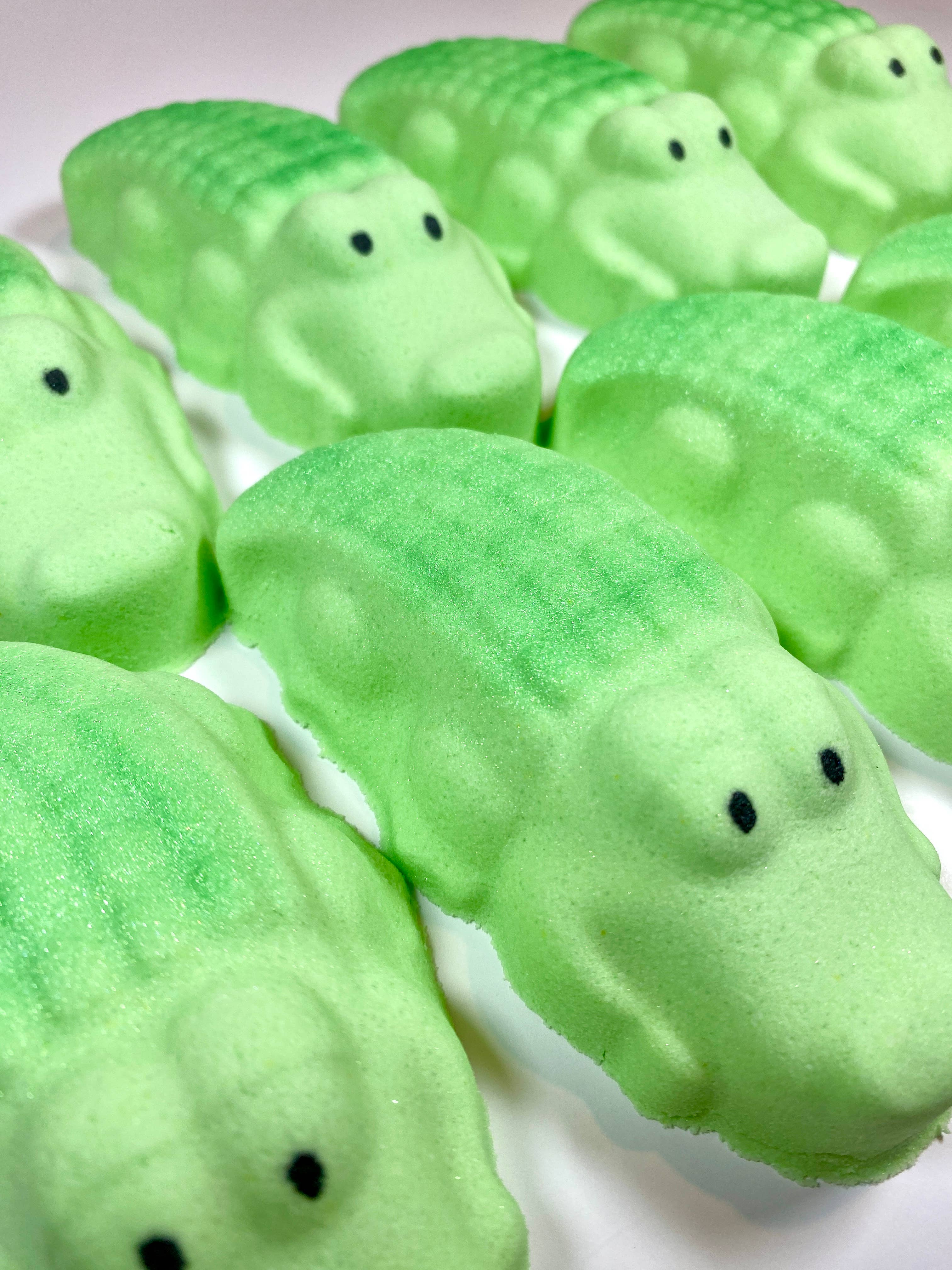 Crocodile Bath Bomb | Splish Splash Bath Bombs
