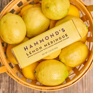 Lemon Meringue Chocolate Bar | Hammond's Candies