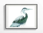 Standing Still | Great Blue Heron Watercolor Art Print